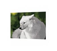 Diy Paint By Number Kits Acrylic Paint Oil Paint Shop