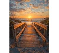 DIY Pintar por Numeros Adultos, Atardecer En La Playa, Colorear Principiantes Numeros Adultos Kit, Pinceles y Acrilicos Pigmentos, para Decoración de Hogar, Sin Marco 60x80cm WM7L-675