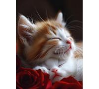 DIY Pintar por Numeros Adultos, Gato De Flores, Colorear Principiantes Numeros Adultos Kit, Pinceles y Acrilicos Pigmentos, para Decoración de Hogar, Sin Marco 40x50cm WM7L-815