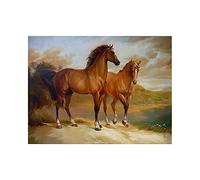 DIY pintura al óleo pintura por número Kit-dos caballos-pintura por números DIY pintura al óleo lienzo arte de pared decoración del hogar