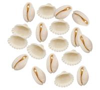 DIYEAH 100piezas Accesorios De Naturales De Conchas Artesanales para Manualidades Decoración De Acuarios Conchas para Adornos De Escritorio y Paisajismo