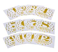 DIYEAH 12 Piezas Pegatinas Mensuales para Bebés Stickers de para Fotos de Nacidos Accesorios para Celebrar Cumple Mes Material Diseño Único y Duradero