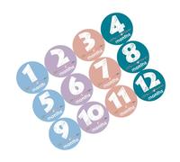 DIYEAH 12 Piezas Stickers de para Bebés Decoración Fotográfica y Accesorios para Recuerdos del Primer Año