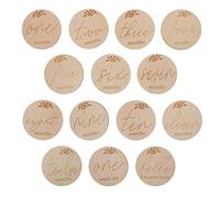 DIYEAH 14 Piezas Tarjetas Mensuales de Madera para Bebés de Decoración Fotográfica de Milestone Accesorios para Recién Nacidos para Momentos Especiales