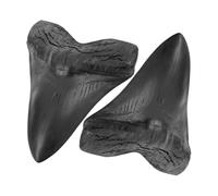 DIYEAH 2 Piezas de de Megalodón Resina Modelo Simulado Detallado para Decoración Colección Educativa y Adorno Temático de Historia Natural