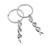 DIYEAH 2 Piezas Llavero Símbolo de Química y Biología, Llavero Científico de Metal Plata, Doble Hélice, Colgante para Mochila y Bolso, para Profesores E Investigadores