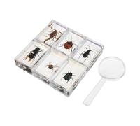 DIYEAH 7 piezas de decoración de insectos de resina, pisapapeles de