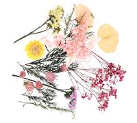 DIYEAH Bolsa de Flores Secas Naturales para Manualidades DIY Material Floral Prensado para Decoración del Hogar y San Valentín Kit de Flores de Inmortalidad Real para Arreglos y