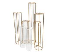 DIYEAH Florero Hidropónico Giratorio 5 Tubos de Ensayo de Vidrio Transparente con Base de Hierro para Propagación de Plantas y Decoración de Escritorio Sala y Oficina