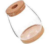 DIYEAH Jarrón Hidropónico Decoración Natural con Soporte de Bambú de Vidrio para Plantas y Flores para Espacios Interiores y Jardinería Creativa
