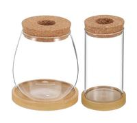 DIYEAH Jarrones hidropónicos de Vidrio borosilicato 6,5x12 cm con Bandeja de bambú y Recipiente Ovalado, Set de 2 macetas para Plantas de Interior, terrarios de Agua para propagación y Cultivo