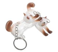DIYEAH Llaveros Conmemorativos para Pelo de Gato 2 Unidades, Colgantes Transparentes para Guardar Pelo de Mascota, Cápsulas Portátiles para Recuerdos de Gato, Accesorios para Amantes