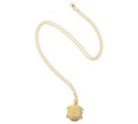 DIYEAH Reloj de Bolsillo en Metal Movimiento de Cuarzo de Precisión de Tortuga Dorado y Botón para Abrir, Estilo Vintage Retro