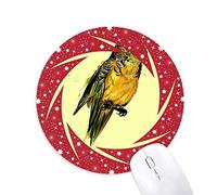 DIYthinker Budgie Loro Pajaro Amarillo Wheel Mouse Pad de Goma roja Redonda