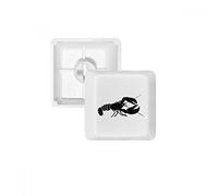 DIYthinker Camarones Vida Marina Negro Ilustración Teclas Pbt para Teclado Mecánico Blanco OEM Sin Marca De Impresión