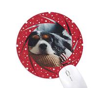 DIYthinker Lazy Dog Animal Sentimental la Foto Wheel Mouse Pad de Goma roja Redonda