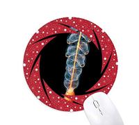 DIYthinker Ocean Medusas Ciencia Naturaleza Foto Wheel Mouse Pad de Goma roja Redonda