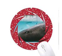 DIYthinker Organismo Marino Tiburon Ocean Animal Wheel Mouse Pad de Goma roja Redonda