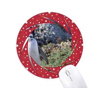 DIYthinker Spheniscidaepicture Stand Sur de pingüino Wheel Mouse Pad de Goma roja Redonda