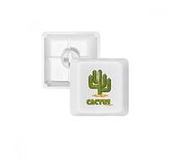 DIYthinker Suculentas Cactus Potted Teclas Planta Pbt Verdes para Teclado Mecánico Blanco OEM No Marca De Impresión