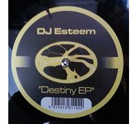 DJ Al Jay Feat.Sarah Jayne / Destiny