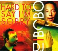 DJ Bobo - Hard to Say I'm Sorry