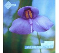 Dj Cam - Underground Vibes [Vinilo]