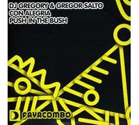 Dj Gregory & Gregor Salto - Con Alegria / Push In The Bush