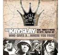 DJ Kayslay - Who Give a...Where You Re from [Vinilo]