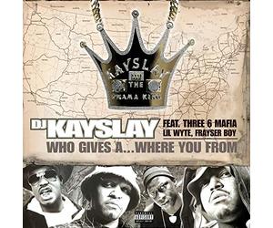 DJ Kayslay - Who Give a...Where You Re from [Vinilo]