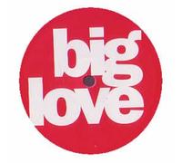 DJ PIERRE FEAT. SYLFRONIA KING - DJ PIERRE FEAT. SYLFRONIA KING / DESTROY THIS TRACK