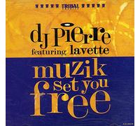 DJ Pierre - Muzik set you free (1994, incl. Garage Remix, feat. Lavette) [Vinyl Single]
