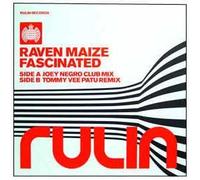 DJ Sammy - Heaven [Vinilo]