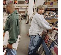 Dj Shadow - Endtroducing