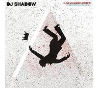 Dj Shadow - The Mountain Has Fallen Tour