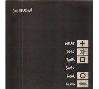 Dj Shadow - What Does Your Soul Looks Like Parts 2+3+4+5 [Vinilo]
