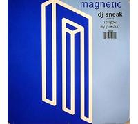 DJ Sneak - I Dropped My Gold [Vinilo]