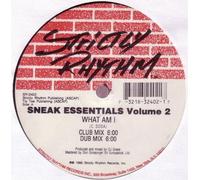DJ SNEAK - SNEAK ESSENTIALS VOLUME 2