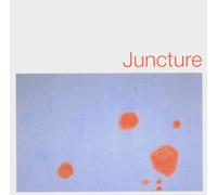 DJ Spooky & High Priest & Ladd & Reid & Iyer - Juncture