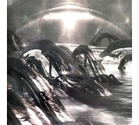 DJ Stingray 313 - F.T.N.W.O. [Vinilo]