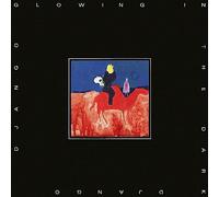 Django Django - Glowing in the Dark [Vinilo]