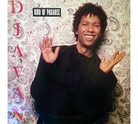 DJAVAN - BIRD OF PARADISE LP (VINYL ALBUM) UK EPIC 1988