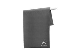 DJJNHF 2 Piezas Paños de Microfibra para Coches para, Absorbente Ultra Suave Sin Pelusa y Sin Rayar, para Lavado de Auto, Hogar,30cm*60cm