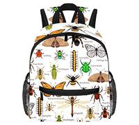 DJROW Insectos naturales, mariposas, mariquitas, abejas, insectos, hormigas, arañas, niños y niñas, guardería, mochila escolar, Multicolor, small