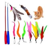 DJSKLDF Juguete Interactivo Gato Retractable Fishing Rod Funny Cat Stick Pet Caterpillar Feather Replacement Head Toy Toys Interactive Products
