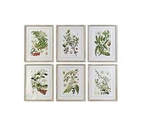 DKD Home Decor Cuadro Color Verde y Beige, de Cristal y MDF (55 x 2 x 70 centímetros) (6 Unidades)