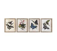 DKD Home Decor Cuadro Mariposas 40 x 2 x 50 cm Shabby Chic (4 Piezas)