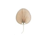 DKD Home Decor Figura Decorativa, Estándar