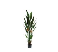 DKD Home Decor Planta Decorativa 60 x 60 x 160 cm Naranja Verde Polipropileno Tropical