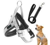 DKDDSSS Arnés para Perro, Arnés de Perro Anti Tracción con Correa Fácil de Poner Ajustable Harnet Reflectante Arnés de Mascotas, Transpirable, Duradero